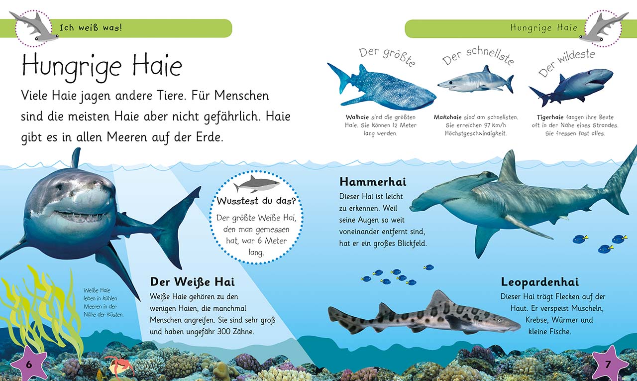 Ich weiß was! Tiere im Meer