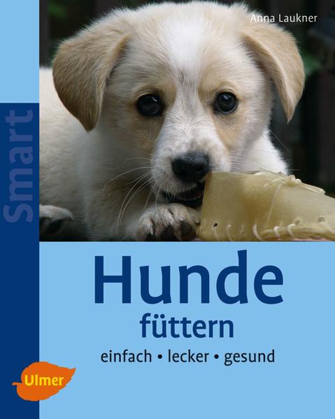 Hunde füttern