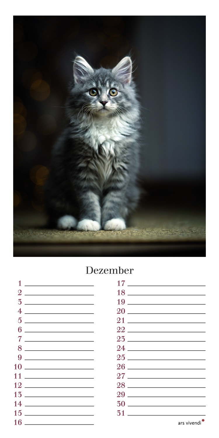 Geburtstagskalender Katzen
