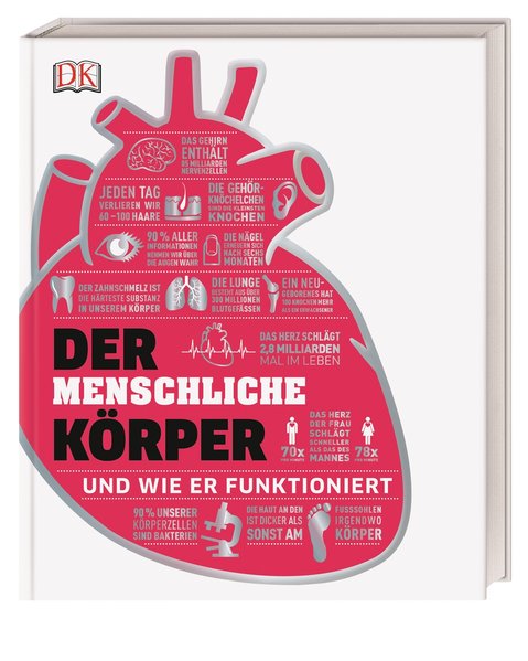 #dkinfografik. Der menschliche Körper