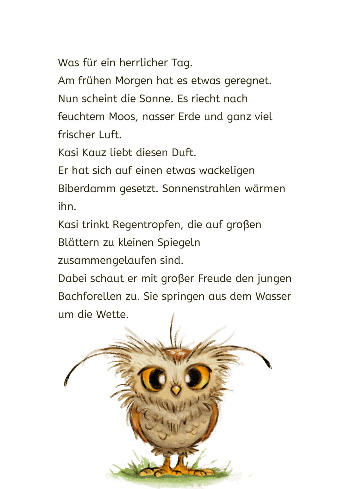 Kasi Kauz und der Radau am Biberbau (Kasi Kauz 2)