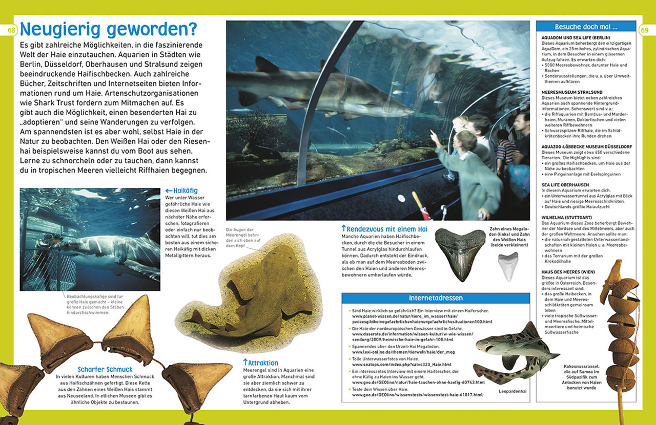 memo Wissen entdecken. Haie