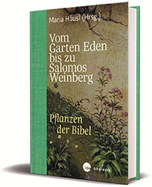 Vom Garten Eden bis zu Salomos Weinberg Vom Garten Eden bis zu Salomos Weinberg