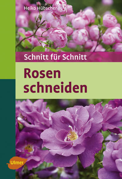 Rosen schneiden