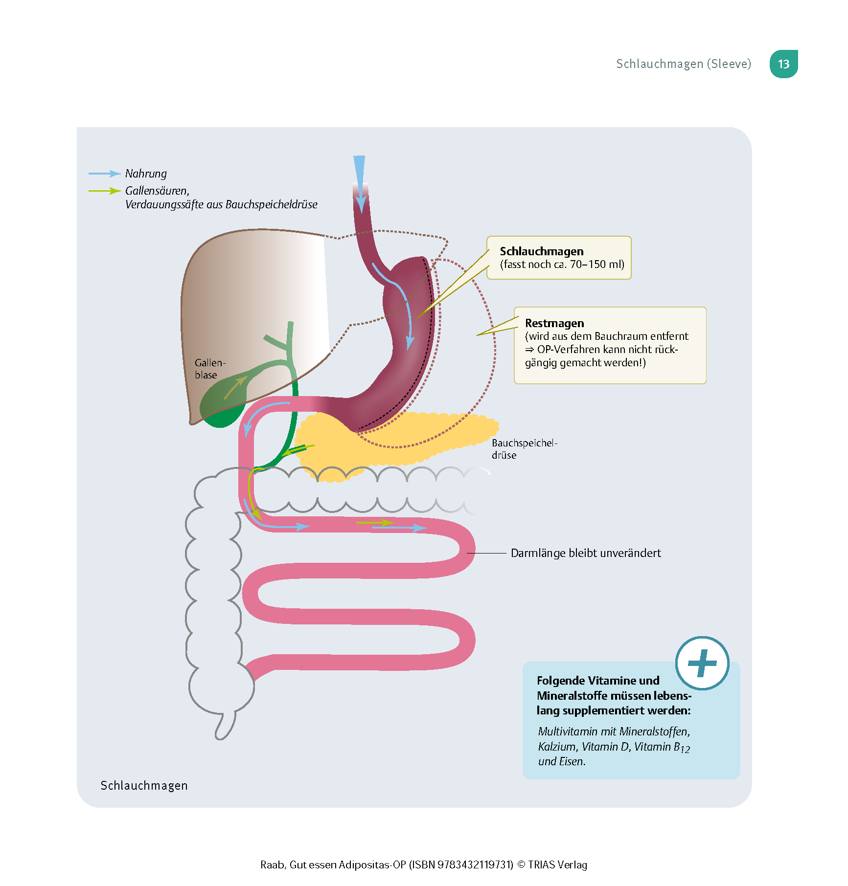 Gut essen Adipositas-OP Gut essen Adipositas-OP