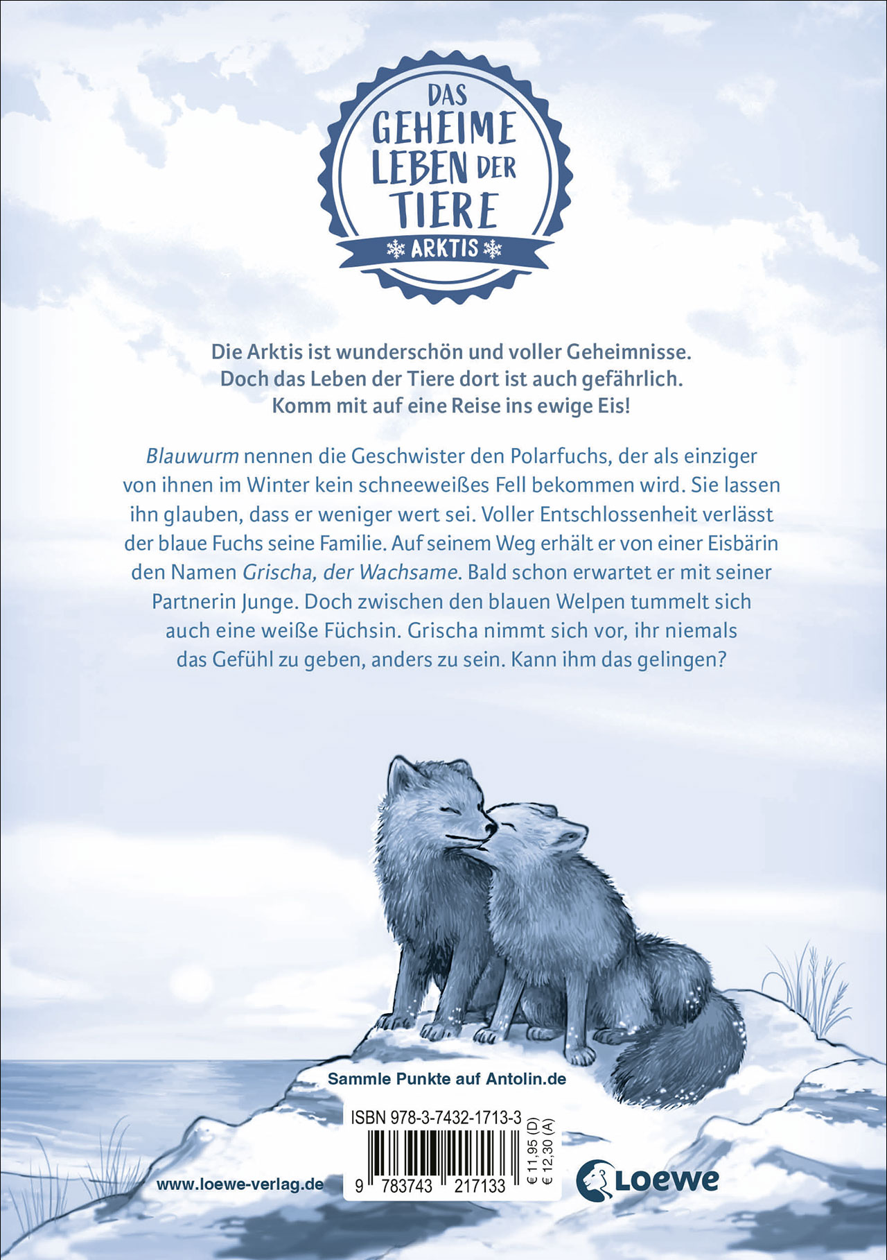 Das geheime Leben der Tiere (Arktis) - Das Erbe der Polarfüchse