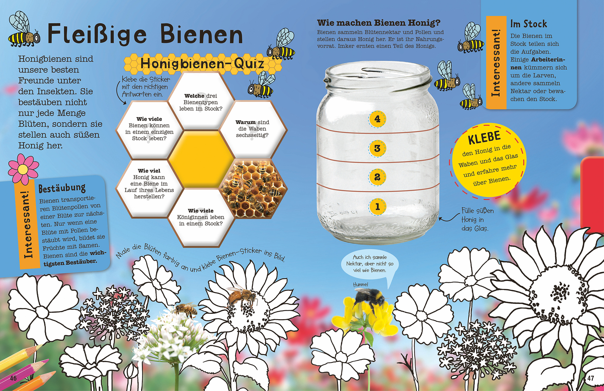 Das Mach-Malbuch Insekten