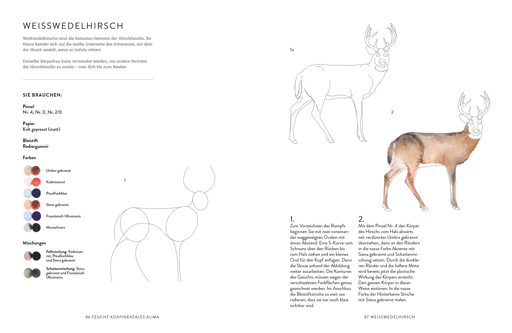 Tiere und Pflanzen malen mit Watercolor