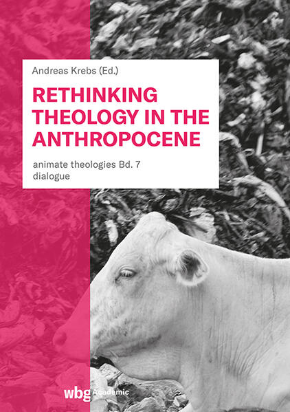 Rethinking Theology in the Anthropocene