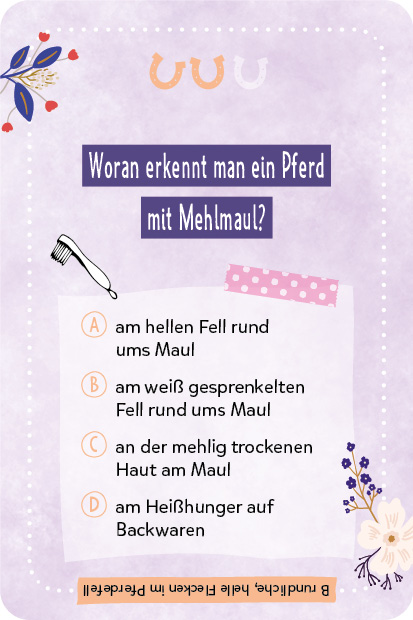 Kartenspiel: Das pferdestarke Quiz von den beliebten Social-Media-Stars Lia und Lea – # ponylife Kartenspiel: Das pferdestarke Quiz von den beliebten Social-Media-Stars Lia und Lea – # ponylife