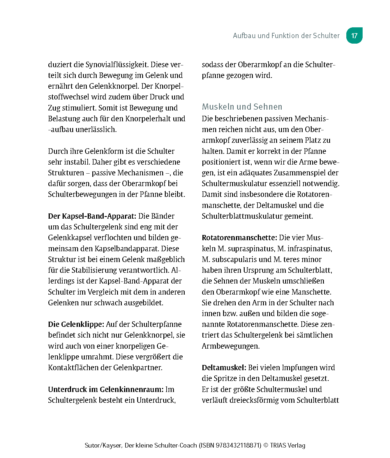 Der kleine Schulter-Coach Der kleine Schulter-Coach