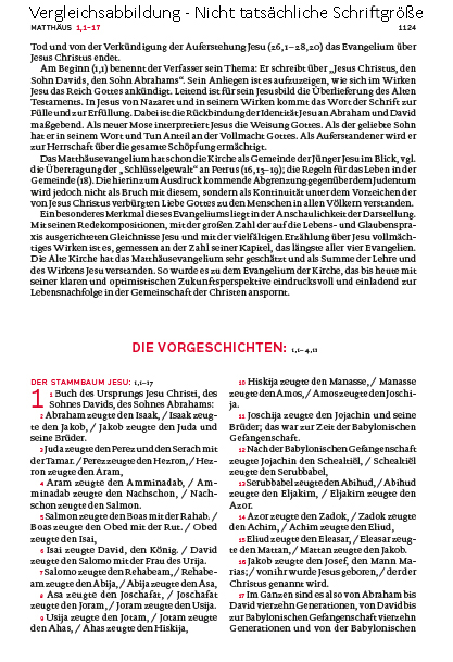 Die Bibel. Mit Sonderseiten für junge Menschen. Die Bibel. Mit Sonderseiten für junge Menschen.