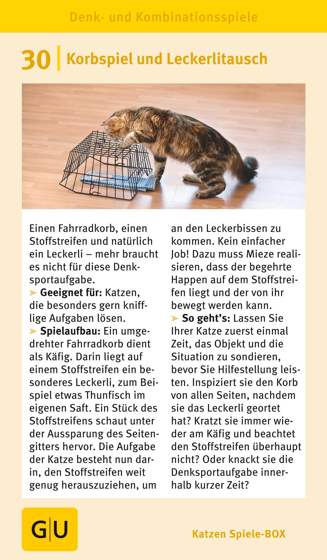 Katzen-Spiele-Box