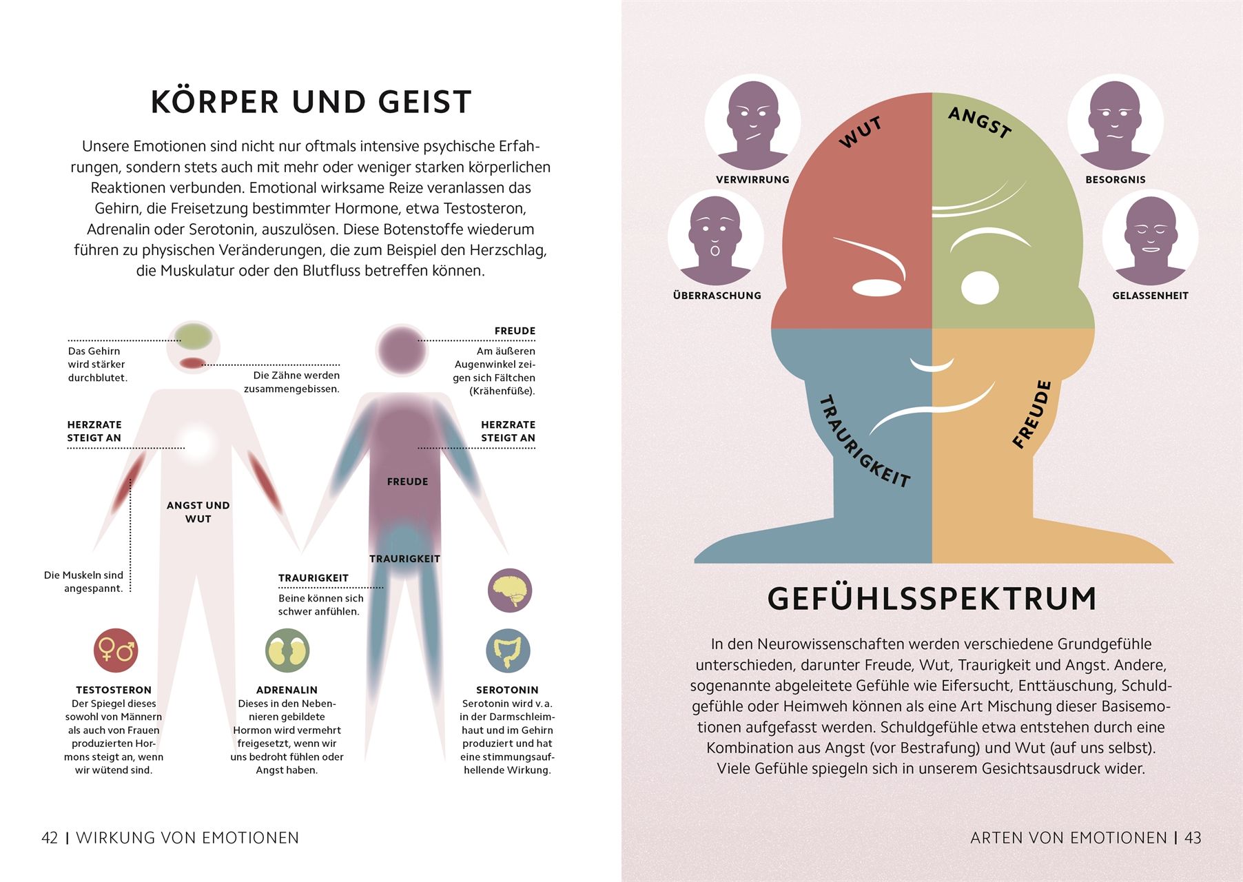 SIMPLY. Das Gehirn