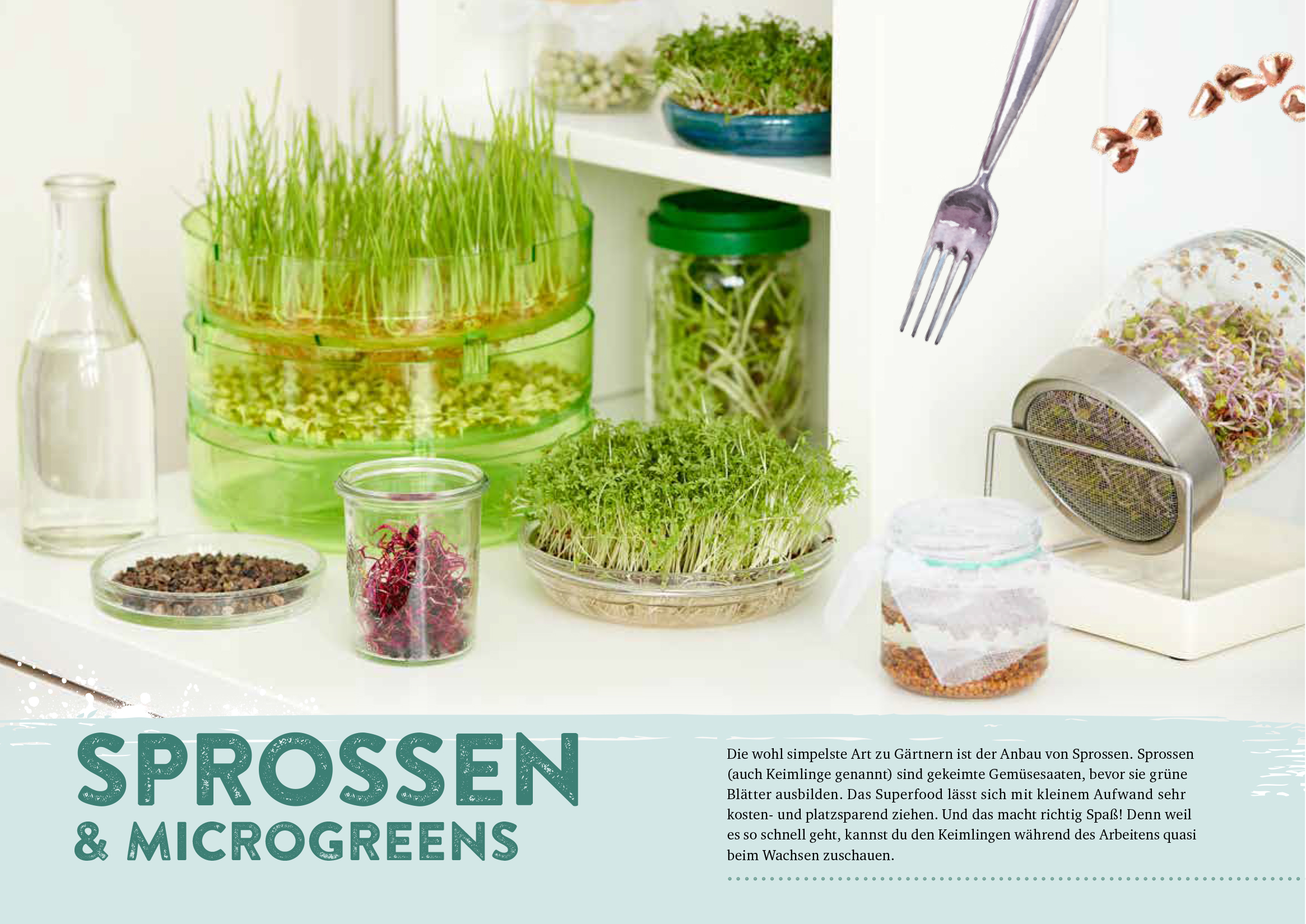Endlich Mittagspause! Indoor-Gärtnern zwischen Mails und Meetings mit Pflücksalat, Sprossen & Co. Endlich Mittagspause! Indoor-Gärtnern zwischen Mails und Meetings mit Pflücksalat, Sprossen & Co.