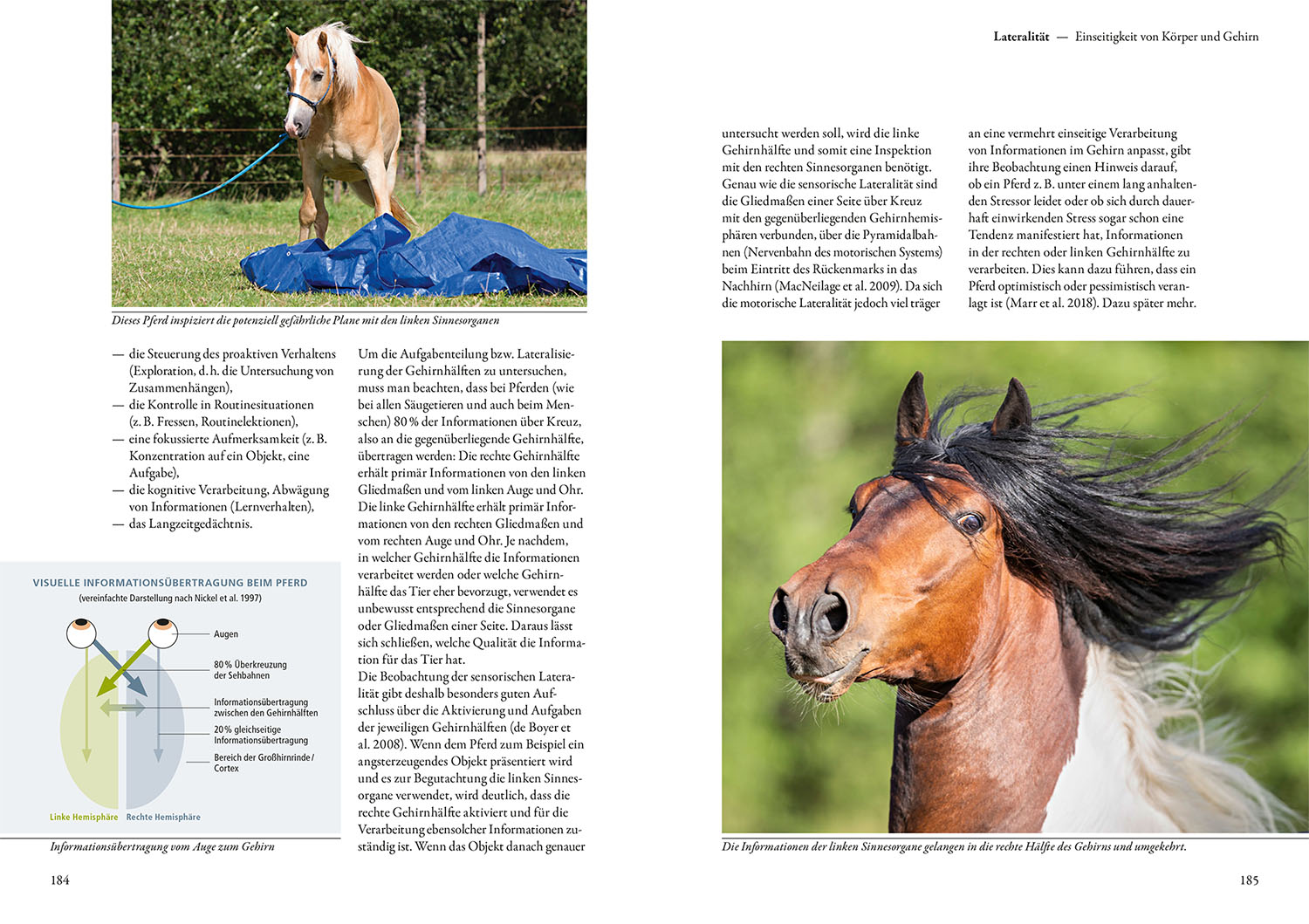 Forschung trifft Pferd Forschung trifft Pferd