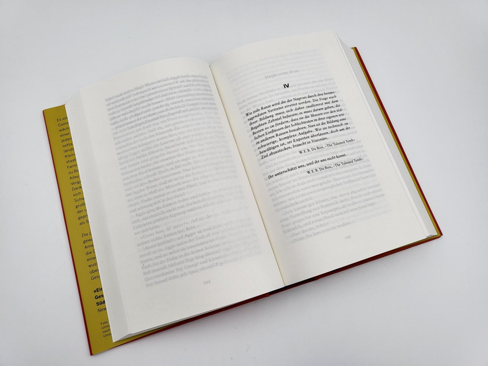 Die Liebeslieder von W.E.B. Du Bois