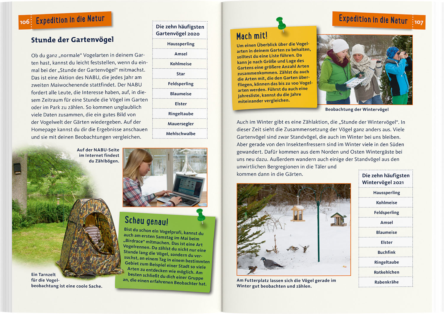 Welcher Gartenvogel ist das? Kindernaturführer