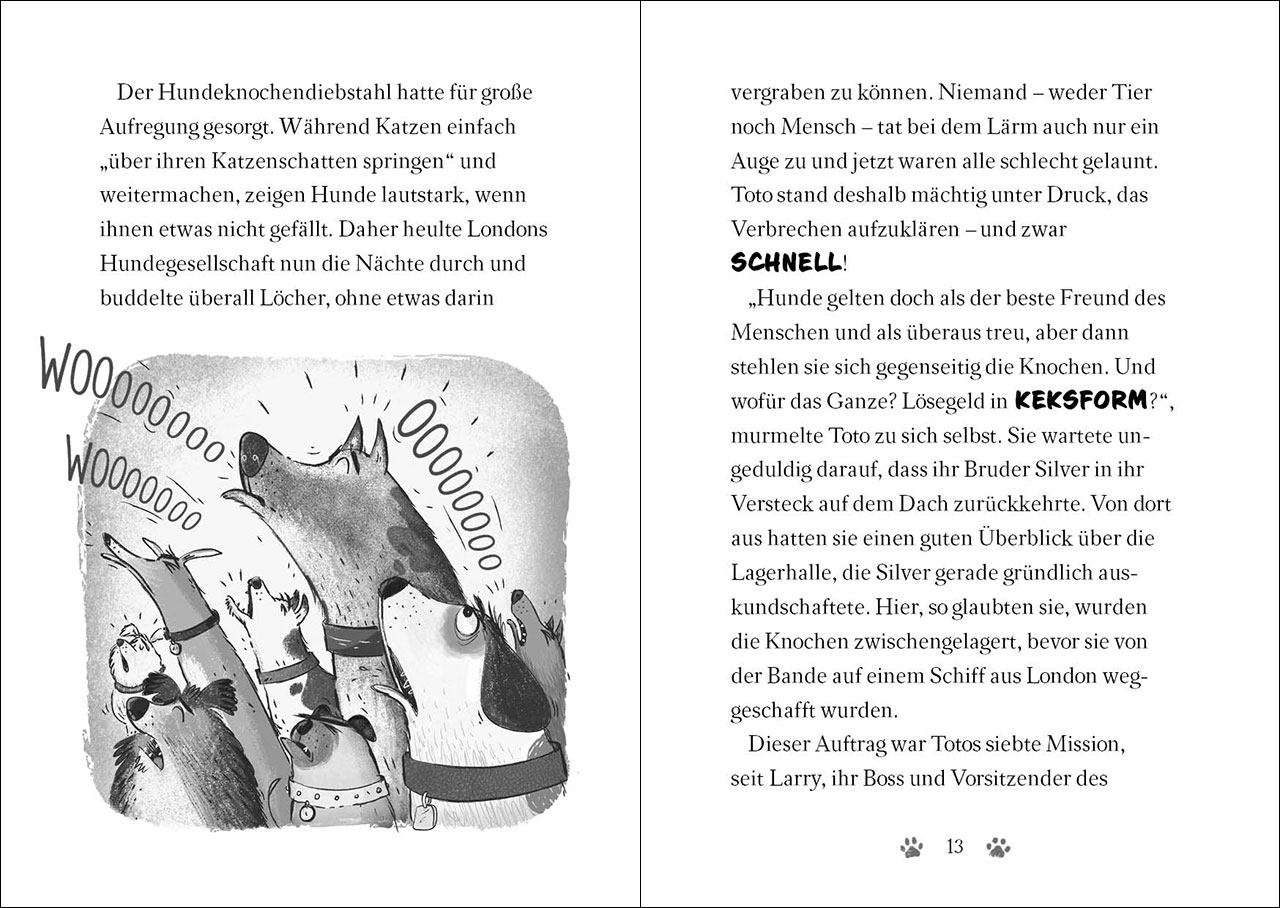 Ninja Cat (Band 3) - Die Rache des Superschurken