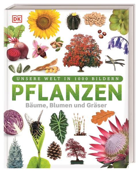Pflanzen Pflanzen