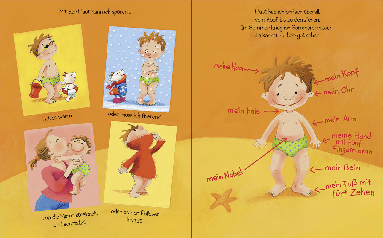 Ohren, Nase, Bauch - das hab ich auch!