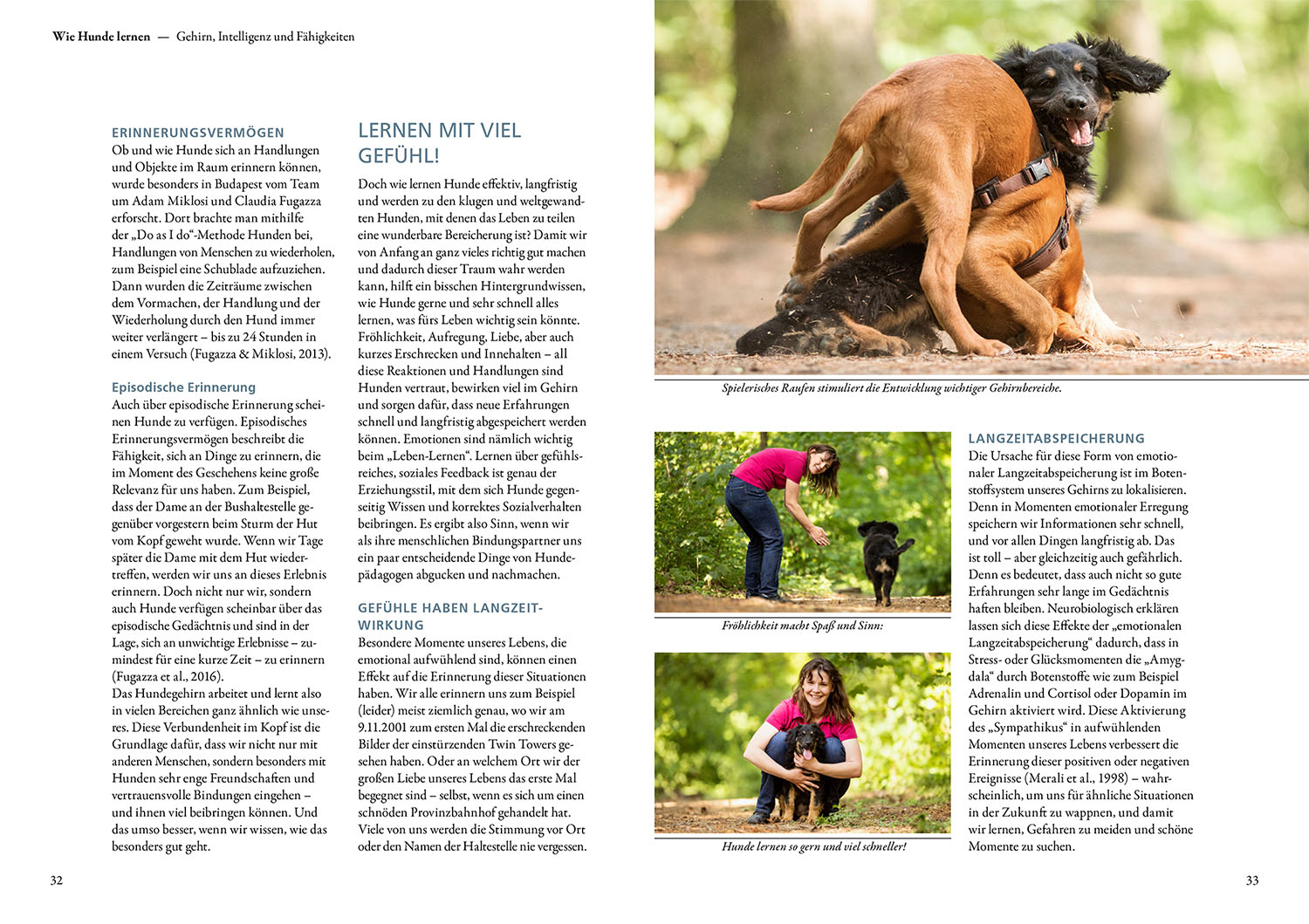 Die 10 Kompetenzen für Hunde Die 10 Kompetenzen für Hunde