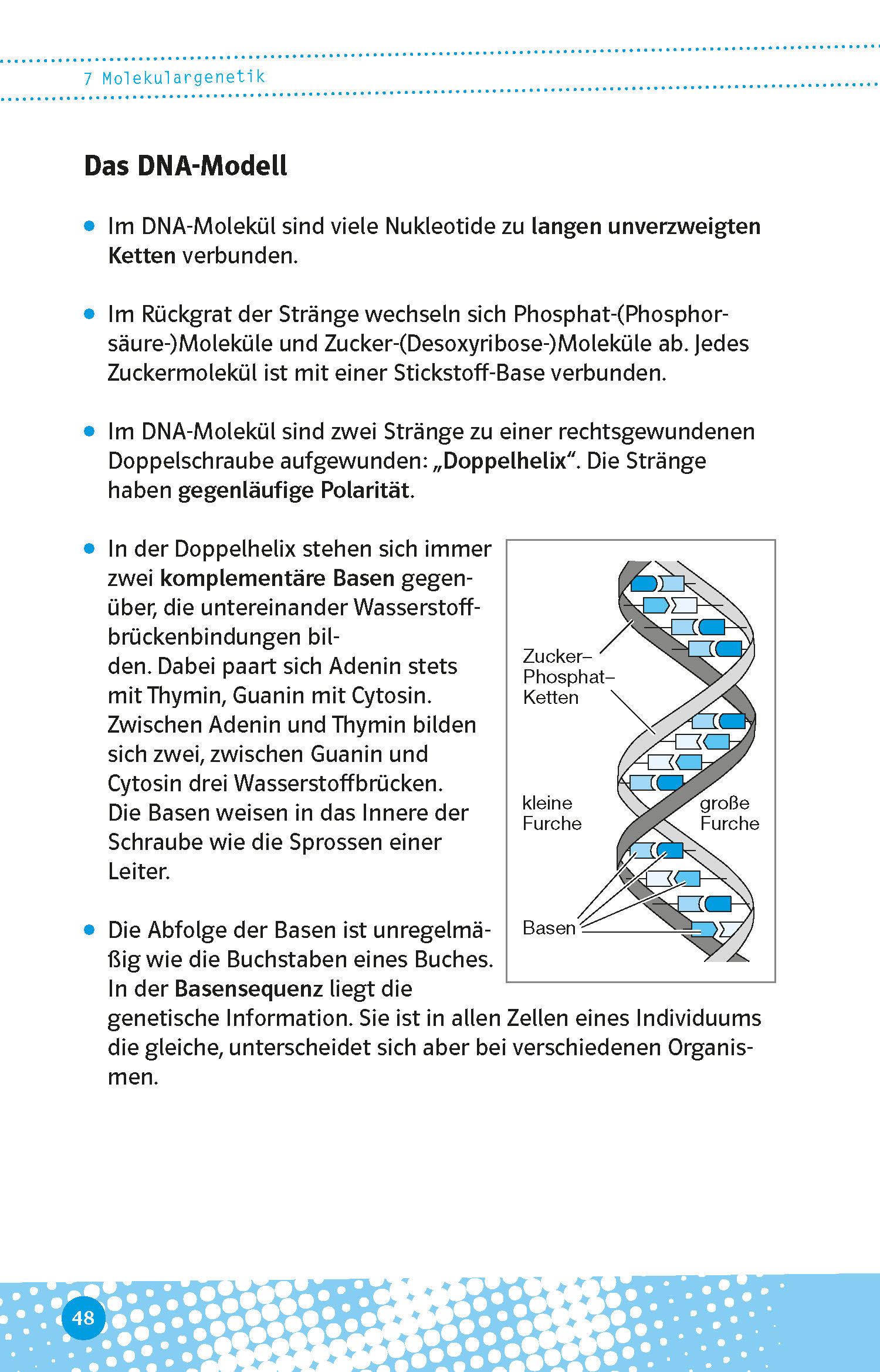 Klett Abi last minute Biologie