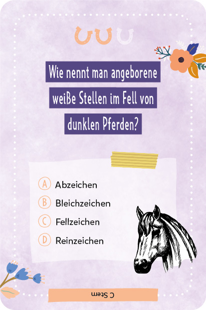 Kartenspiel: Das pferdestarke Quiz von den beliebten Social-Media-Stars Lia und Lea – # ponylife Kartenspiel: Das pferdestarke Quiz von den beliebten Social-Media-Stars Lia und Lea – # ponylife