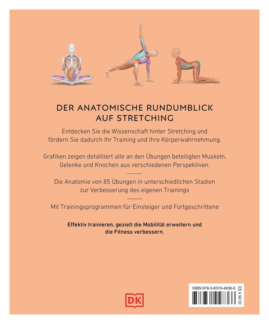 Stretching - Die Anatomie verstehen