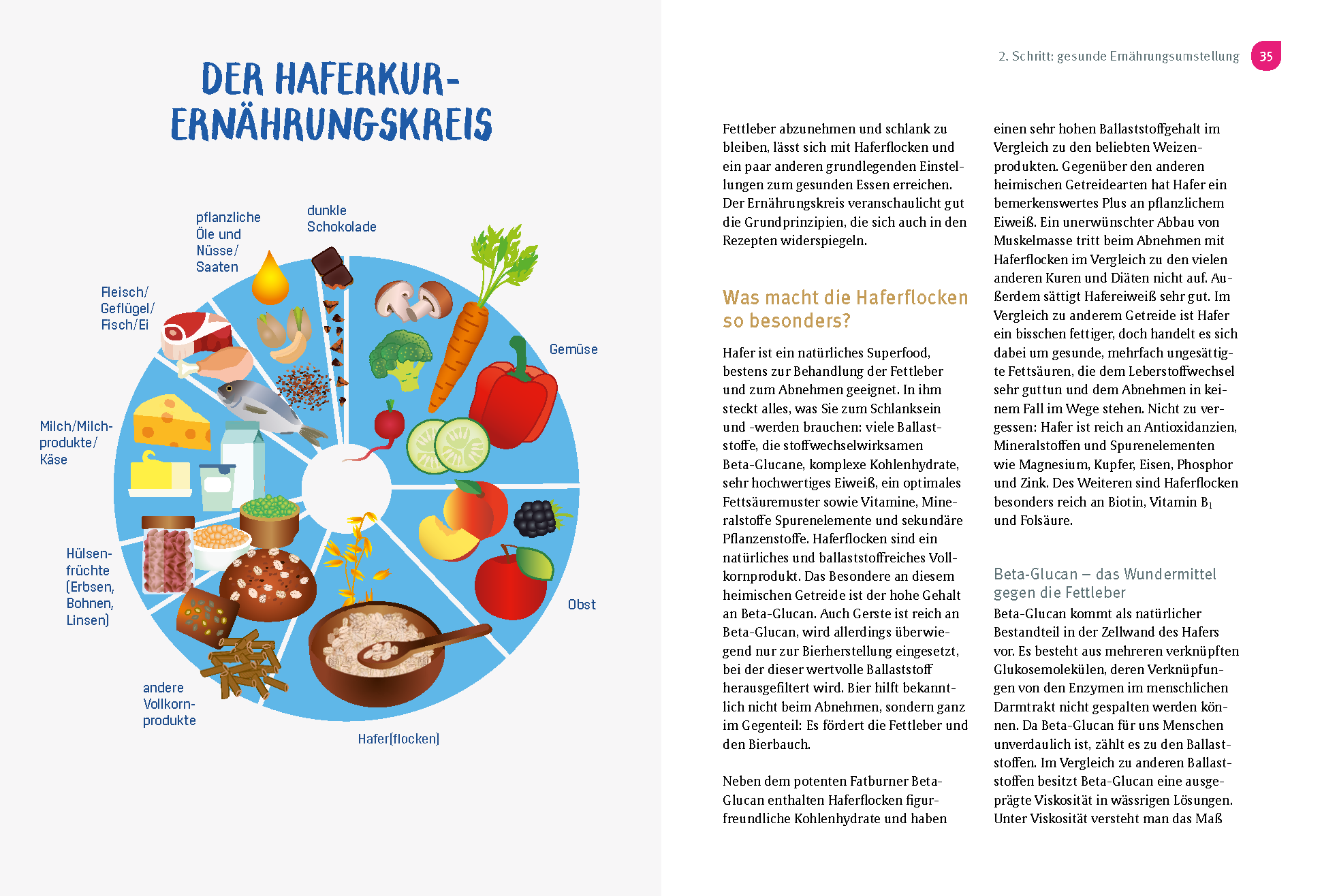 Mit Hafer gegen die Fettleber