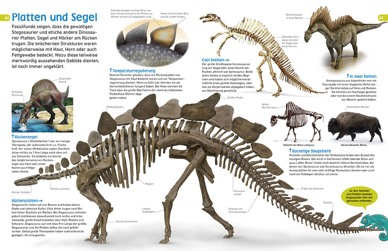 memo Wissen entdecken. Dinosaurier