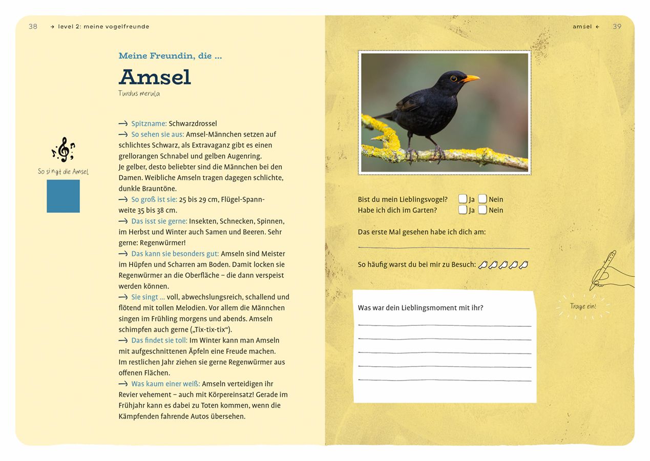 Dein Projekt. Dein Guide. Gartenvögel einladen & verwöhnen