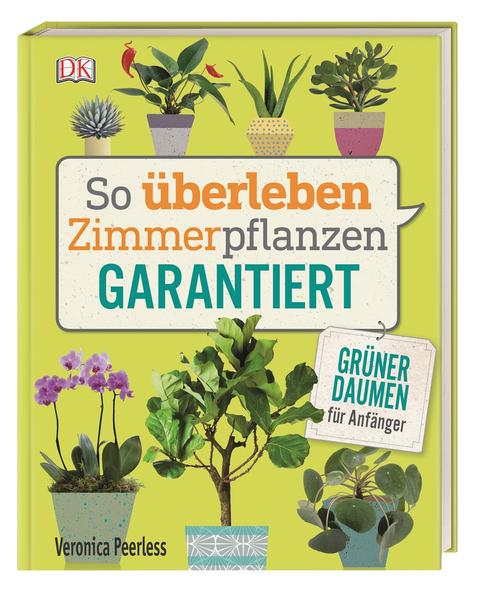 So überleben Zimmerpflanzen garantiert