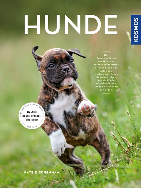 Hunde Hunde