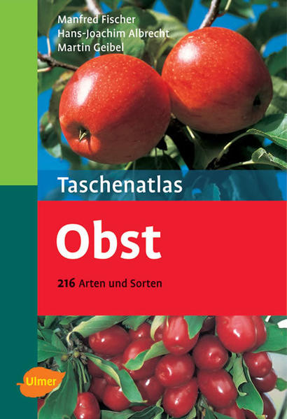 Obst