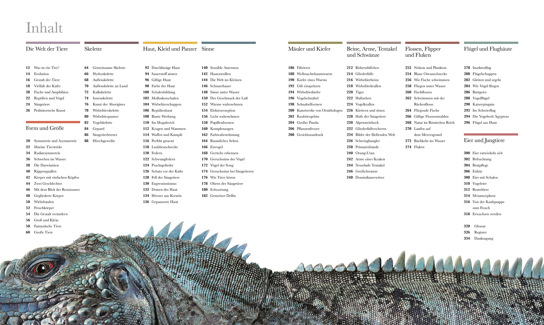Fauna – Wunderwelt der Tiere
