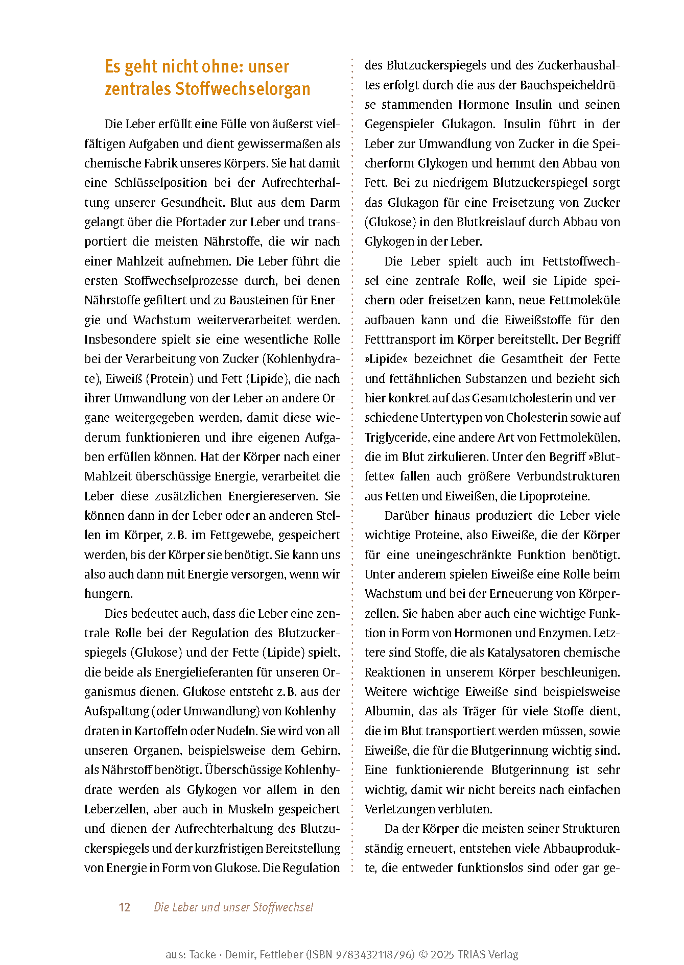 Expertenwissen: Fettleber