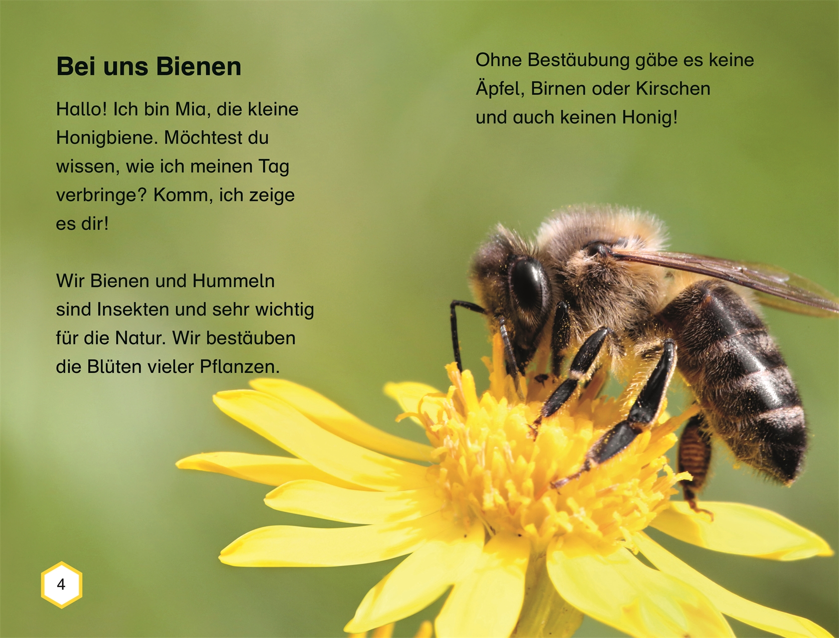 SUPERLESER! Wir brauchen die Bienen