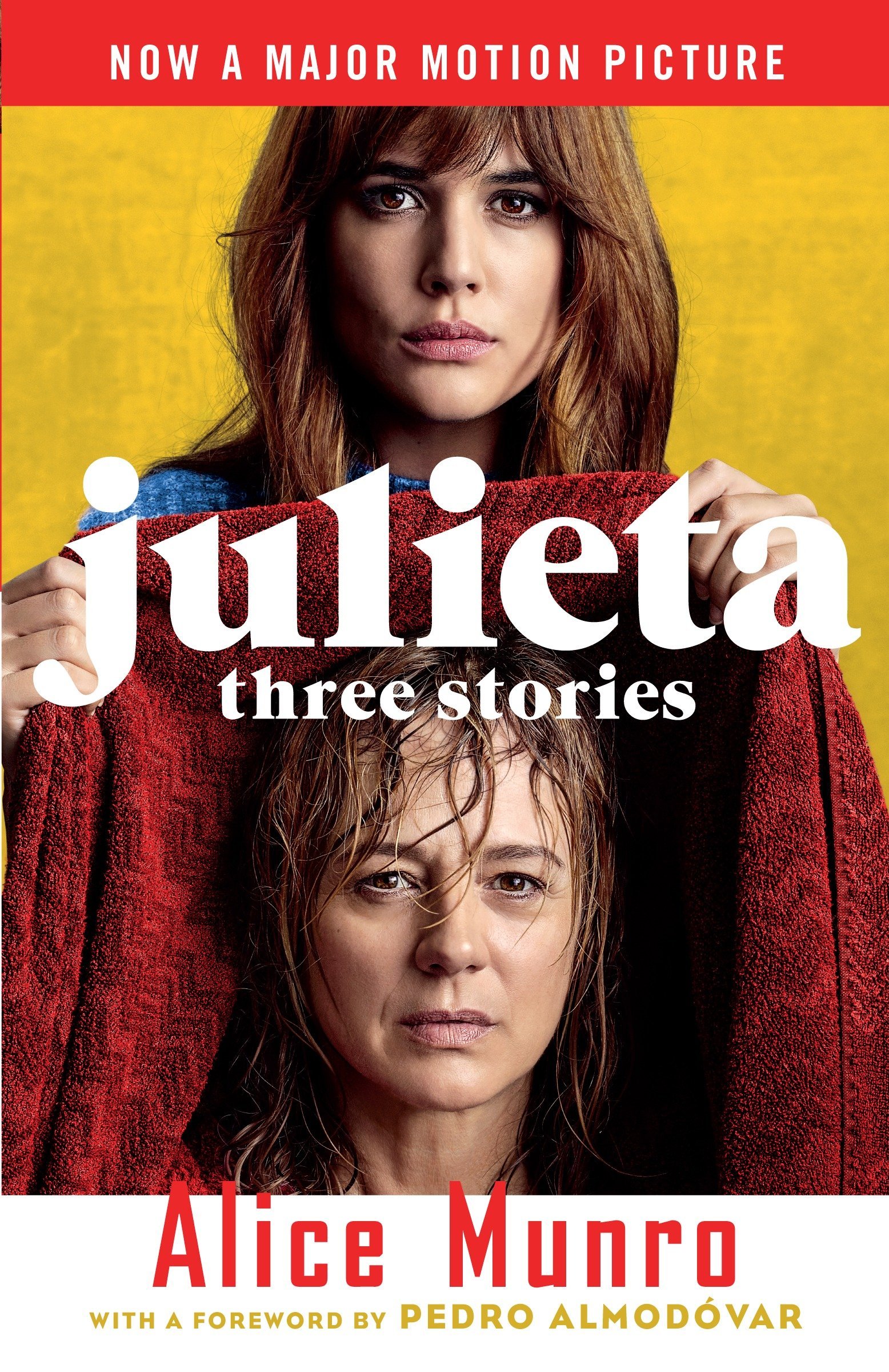 Julieta (Movie Tie-in Edition): Three Stories That Inspired the Movie (Vintage International)