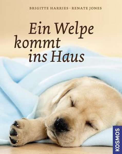 Ein Welpe kommt ins Haus Ein Welpe kommt ins Haus