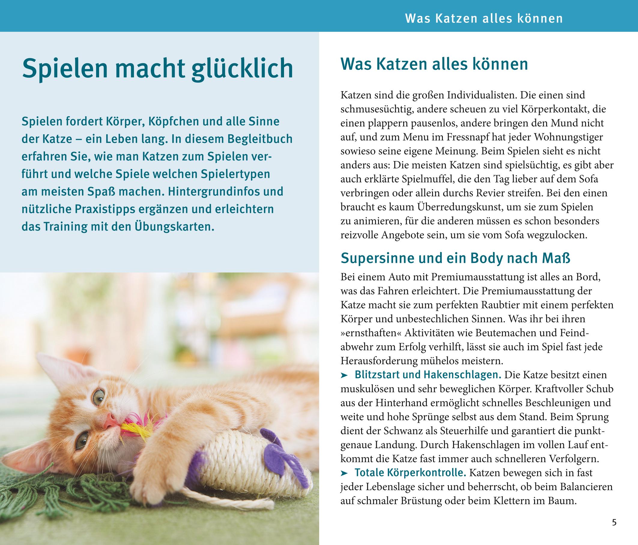 Katzen-Spiele-Box