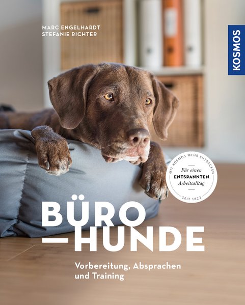 Bürohunde Bürohunde
