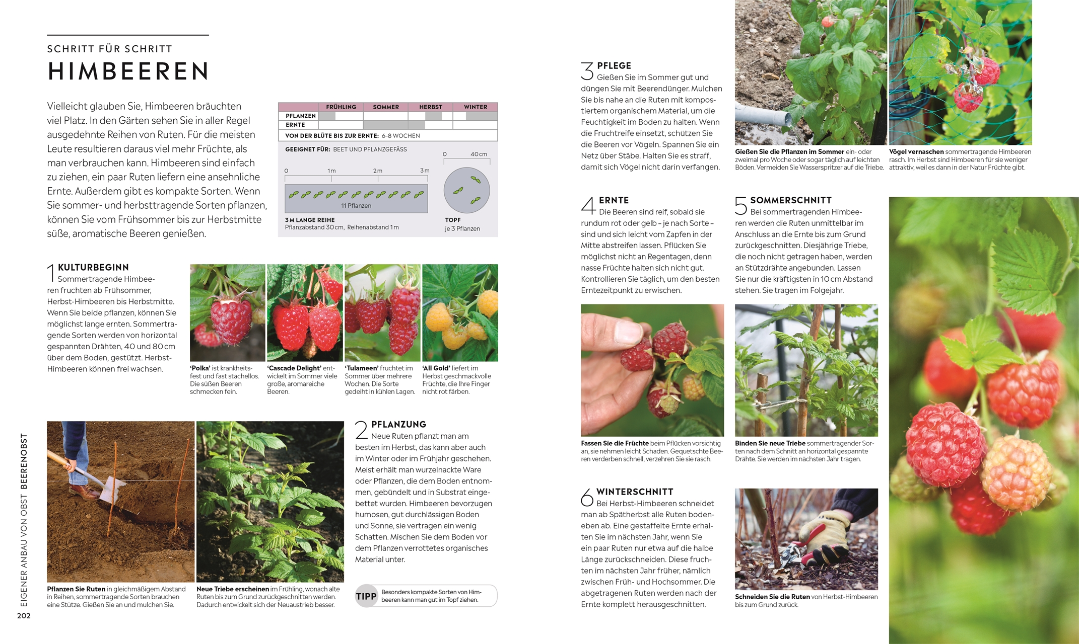 Kleiner Garten - große Ernte Kleiner Garten - große Ernte