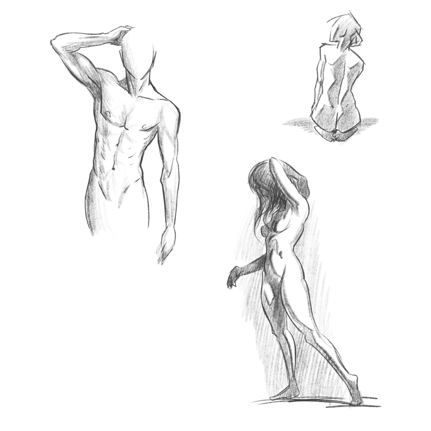 Die große Zeichenbibliothek