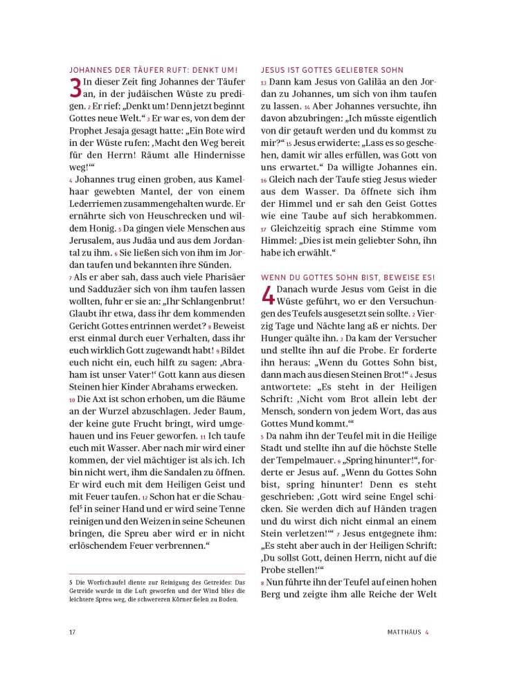 Das neue Testament. Übertragen in die Sprache unserer Zeit. Blaue Ausgabe