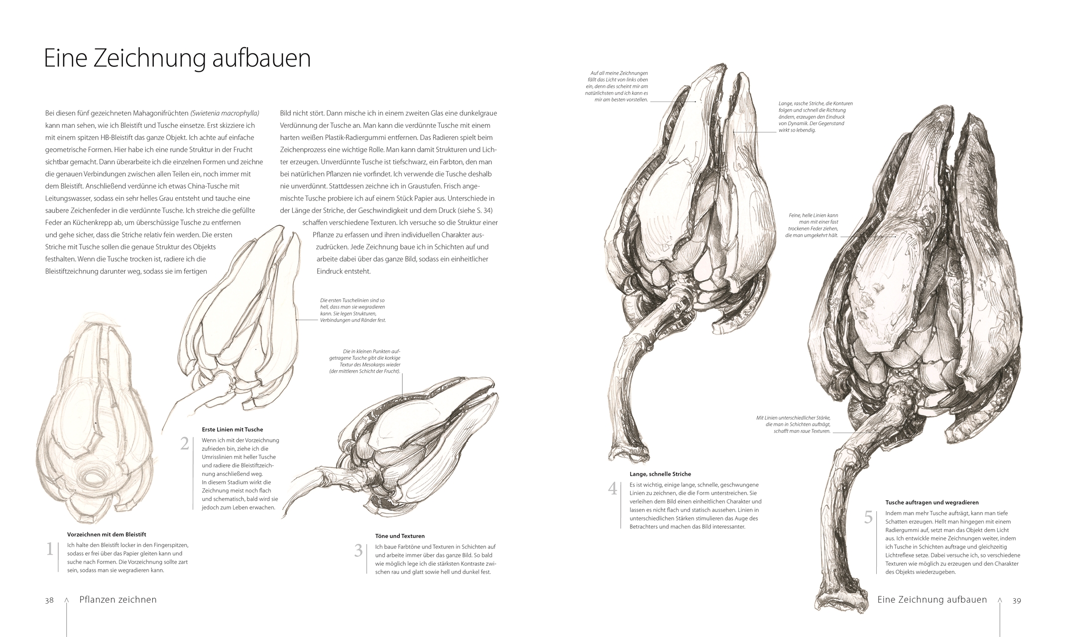 Botanik für Künstler