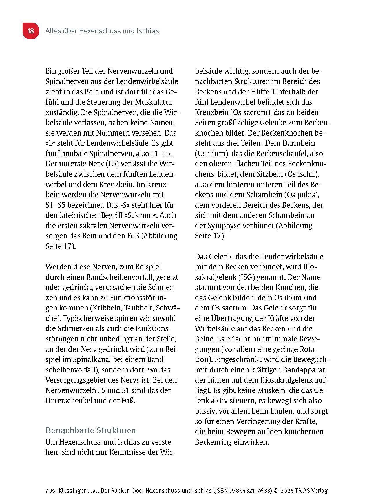Der Rücken-Doc: Hexenschuss und Ischias