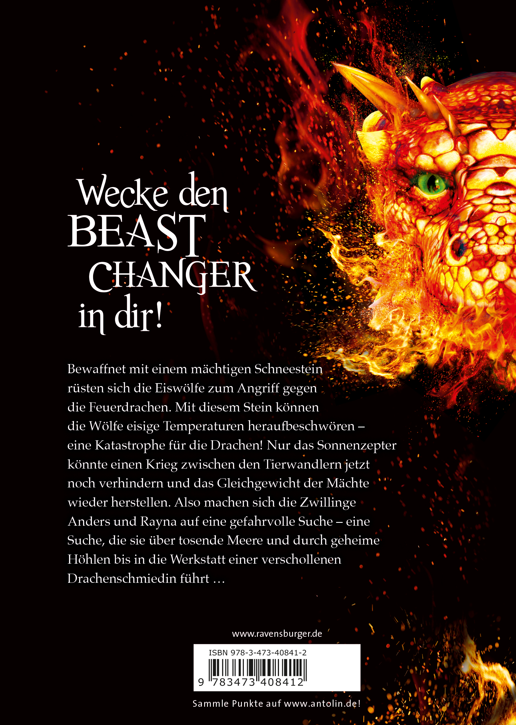 Beast Changers Band 2 Im Reich Der Feuerdrachen