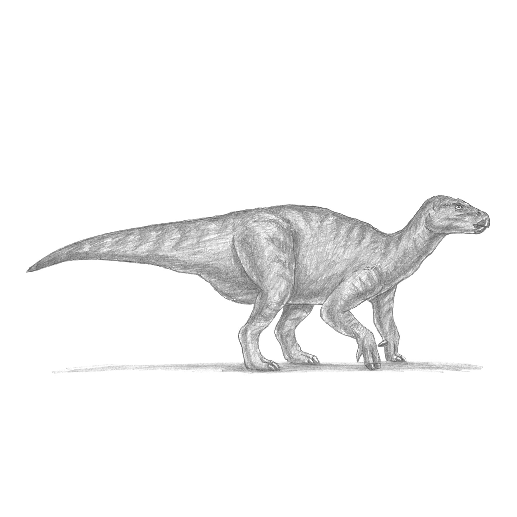 Die Kunst des Zeichnens für Kinder - Ich zeichne Dinosaurier