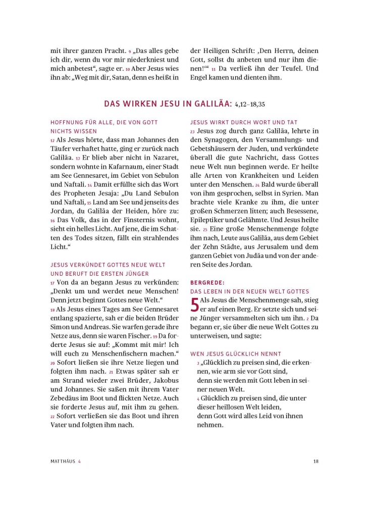 Das neue Testament. Übertragen in die Sprache unserer Zeit. Blaue Ausgabe